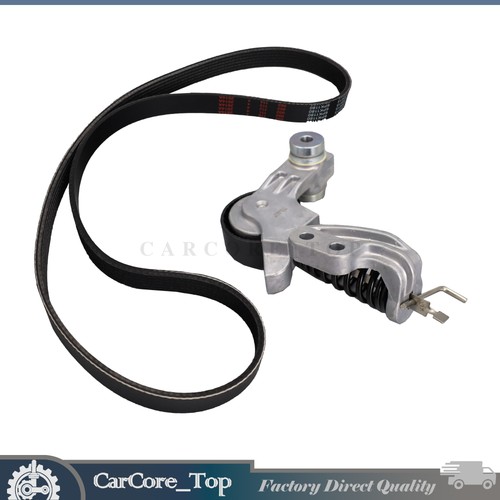 Ribbed belt kit 31480362 - v-ribbed,