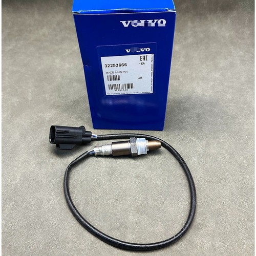 Oxygen sensor upstream - sensor,