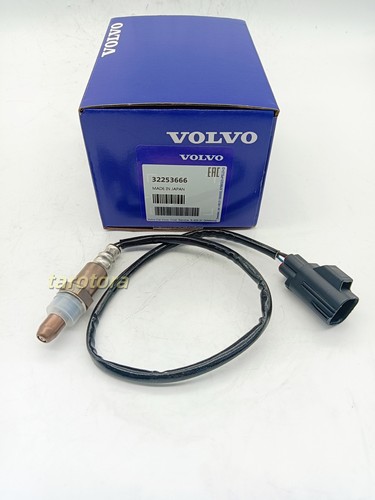 Upstream oxygen sensor - upstream,