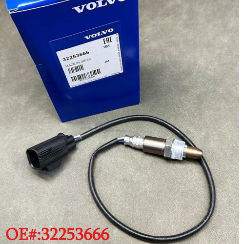Oxygen sensor upstream for - oxygen,