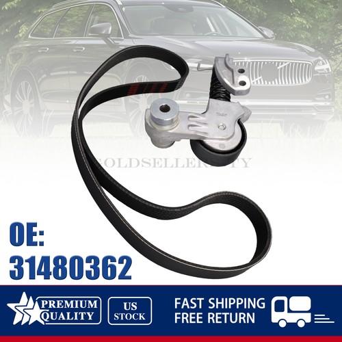 Ribbed belt kit for - belt,